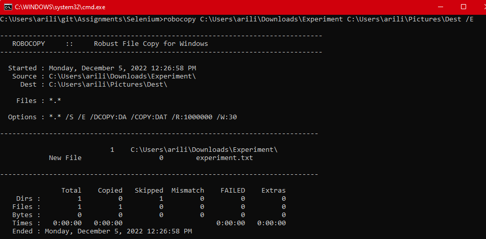 How To Run Batch File In Selenium